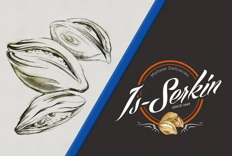 Logo design shown from pencil sketches of shells on the left to the finished script wordmark on a dark panel