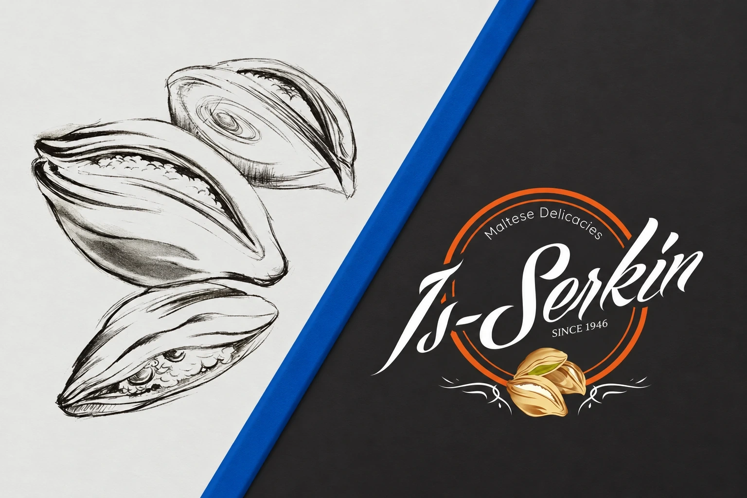 Logo design shown from pencil sketches of shells on the left to the finished script wordmark on a dark panel